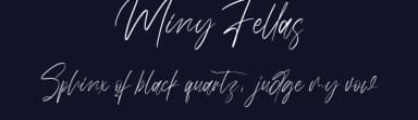 Miny Fellas by StringLabs Creative Studio — Script Handwritten Font — thumbnail 2