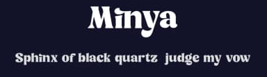 Minya by Dharmas Foundry — Serif Font — thumbnail 2