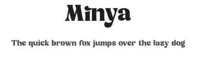 Minya by Dharmas Foundry — Serif Font — thumbnail 1