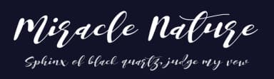 Miracle Nature by Letterena Studios — Script Handwritten Font — thumbnail 2