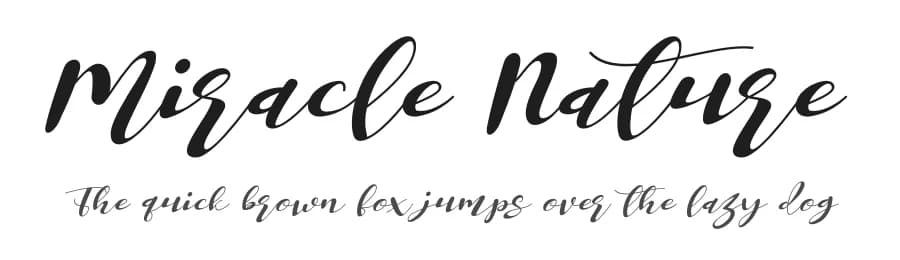 Miracle Nature by Letterena Studios — Script Handwritten Font