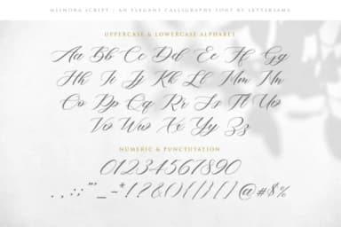Mishora Script Font by Lettersams — Script Handwritten Font — thumbnail 7