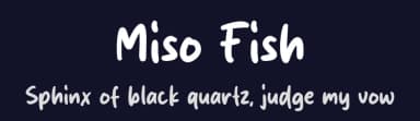 Miso Fish by MJType — Script Handwritten Font — thumbnail 2