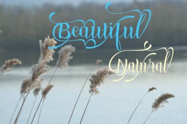 Missgivelove Font by Cek Creative — Script Handwritten Font — thumbnail 4