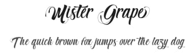 Mister Grape by Typhoon Type - Suthi Srisopha — Script Handwritten Font — thumbnail 1
