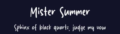Mister Summer by Origin Type — Script Handwritten Font — thumbnail 2