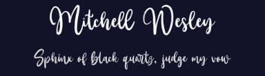 Mitchell Wesley by Fargun Studio — Script Handwritten Font — thumbnail 2