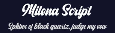 Mitona Script by LetterFreshStudio — Script Handwritten Font — thumbnail 2