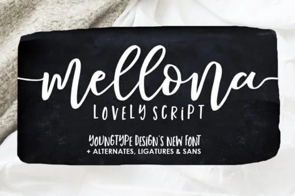 Mochigan Font by Youngtype — Script Handwritten Font