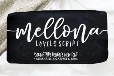 Mochigan Font by Youngtype — Script Handwritten Font — thumbnail 1