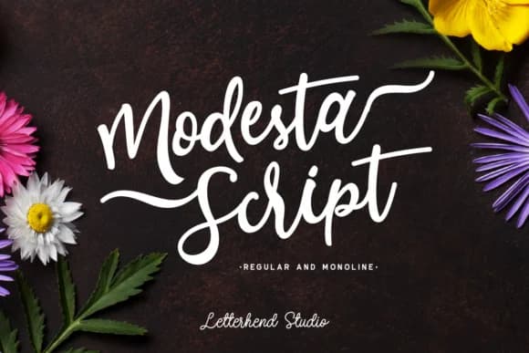 Modesta Script Font by letterhend — Script Handwritten Font