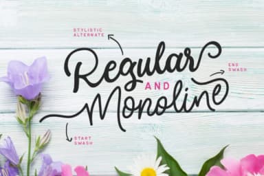 Modesta Script Font by letterhend — Script Handwritten Font — thumbnail 2