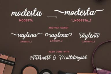 Modesta Script Font by letterhend — Script Handwritten Font — thumbnail 8