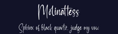 Molinattess by Letterena Studios — Script Handwritten Font — thumbnail 2