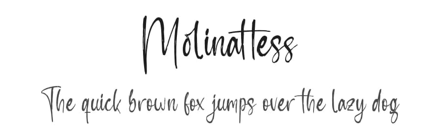 Molinattess by Letterena Studios — Script Handwritten Font