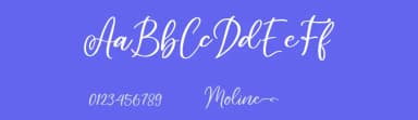 Moline by AminMario — Script Handwritten Font — thumbnail 3