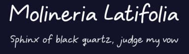 Molineria Latifolia by Wildan Type — Script Handwritten Font — thumbnail 2