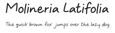 Molineria Latifolia by Wildan Type — Script Handwritten Font — thumbnail 1