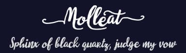 Molleat by 7NTypes — Script Handwritten Font — thumbnail 2