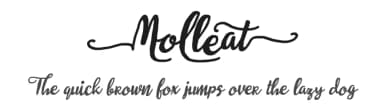 Molleat by 7NTypes — Script Handwritten Font — thumbnail 1