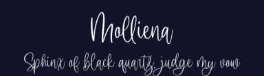 Molliena by Damarletter — Script Handwritten Font — thumbnail 2