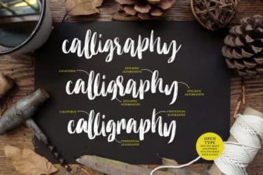 Molliquam Font by Garisman Studio — Script Handwritten Font — thumbnail 2