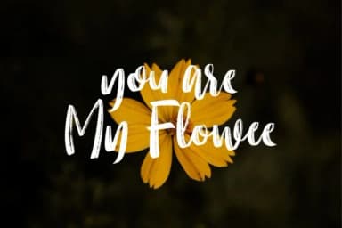 Molliquam Font by Garisman Studio — Script Handwritten Font — thumbnail 4