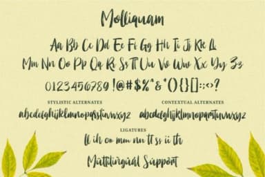 Molliquam Font by Garisman Studio — Script Handwritten Font — thumbnail 7