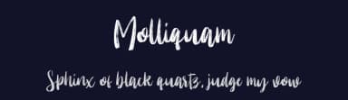 Molliquam by Garisman Studio — Script Handwritten Font — thumbnail 2