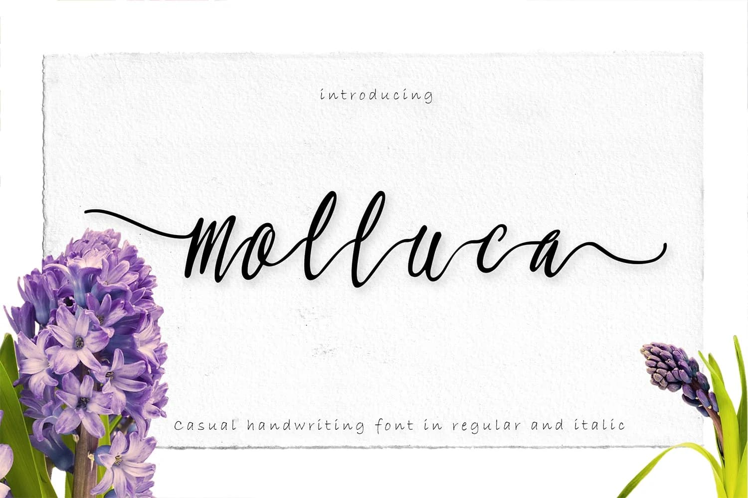 Molluca Font by Greataris — Script Handwritten Font