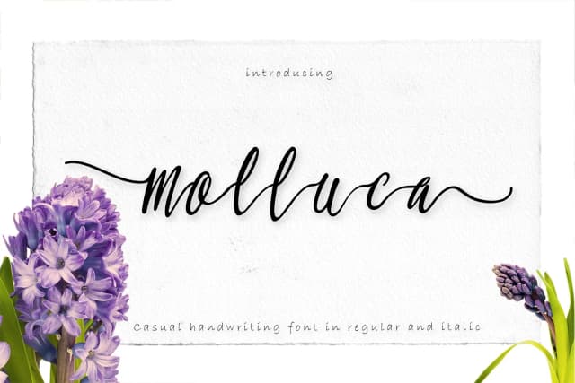 Molluca Font by Greataris — Script Handwritten Font