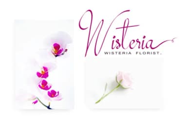 Mollucash Font by xdCreative — Script Handwritten Font — thumbnail 4