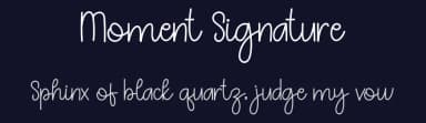 Moment Signature by Belina Studio — Script Handwritten Font — thumbnail 2