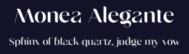 Monea Alegante by Sansakerta — Serif Font — thumbnail 2