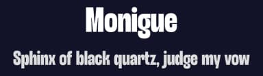 Monigue by Zarma Type Foundry — Sans Serif Font — thumbnail 2