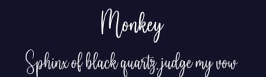 Monkey by NJ Studio — Script Handwritten Font — thumbnail 2