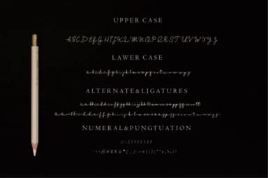 Monochrome Font by Fikryal Studio — Script Handwritten Font — thumbnail 7