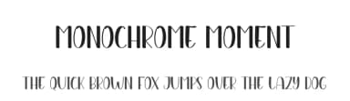 Monochrome Moment by Andi Moz — Script Handwritten Font — thumbnail 1