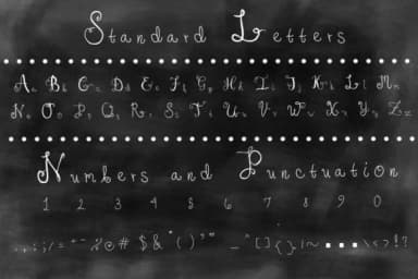 Monogram Flourish Font by ashley_lynne18 — Serif Font — thumbnail 3