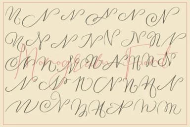 Monogram N by aminmario — Script Handwritten Font — thumbnail 4