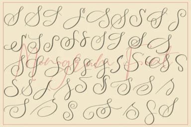Monogram S by aminmario — Script Handwritten Font — thumbnail 4