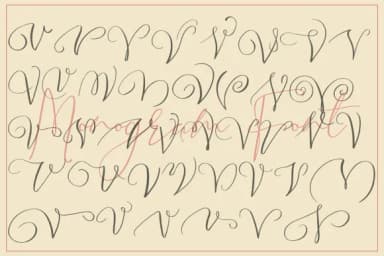 Monogram V by aminmario — Script Handwritten Font — thumbnail 4