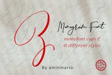 Monogram Z by aminmario — Script Handwritten Font — thumbnail 5