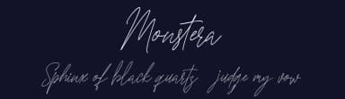 Monstera by Creatype Studio — Script Handwritten Font — thumbnail 2