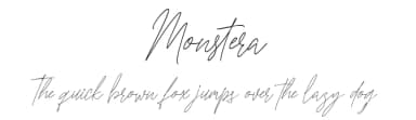 Monstera by Creatype Studio — Script Handwritten Font — thumbnail 1