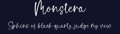 Monstera by Wahyu Studio — Script Handwritten Font — thumbnail 2