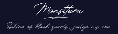 Monsttera by Hugefonts — Script Handwritten Font — thumbnail 2