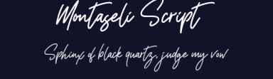 Montaseli Script by Din Studio — Script Handwritten Font — thumbnail 2