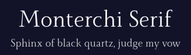 Monterchi Serif by Zetafonts — Serif Font — thumbnail 2