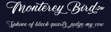 Monterey Bird by Typhoon Type - Suthi Srisopha — Script Handwritten Font — thumbnail 2